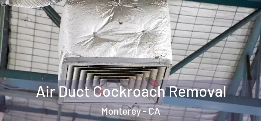 Air Duct Cockroach Removal Monterey - CA