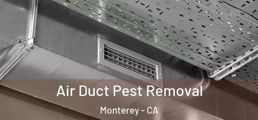  Air Duct Pest Removal Monterey - CA