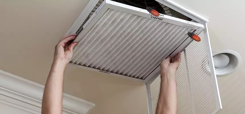 Our Insect Removal from Air Ducts Services in Monterey, CA