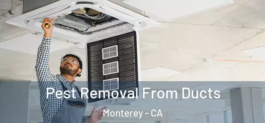 Pest Removal From Ducts Monterey - CA