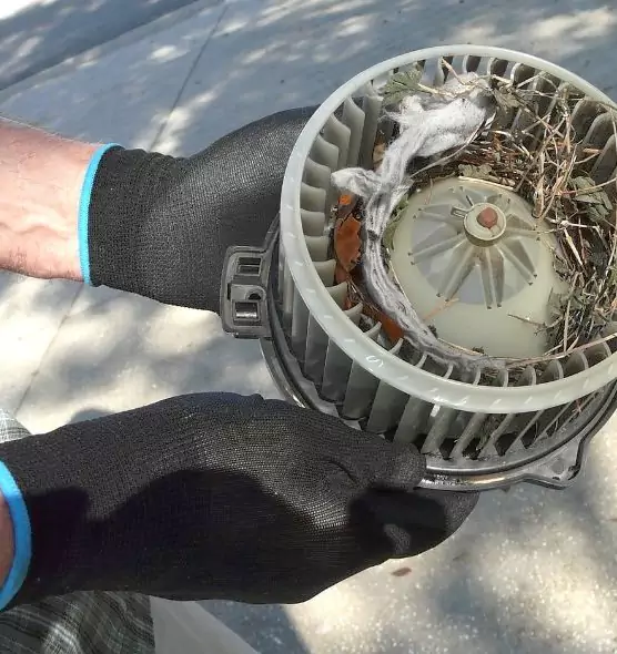 About Air Duct Rat Removal in Monterey, CA