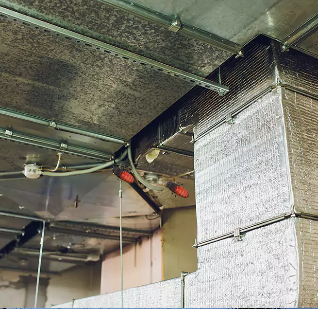 Why Homeowners & Businesses Trust Us in Monterey, CA?