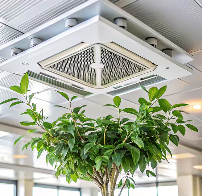 Why Homeowners & Businesses Trust Us in Monterey, CA