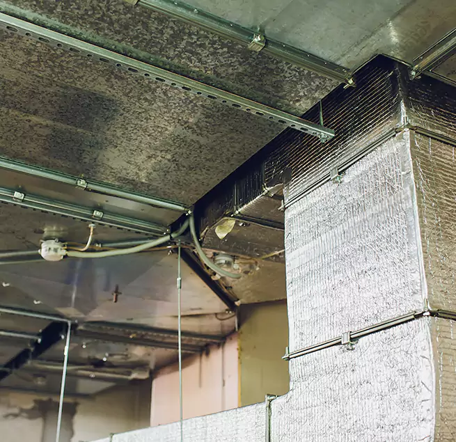 Why Homeowners & Businesses Trust Us in Monterey, CA?